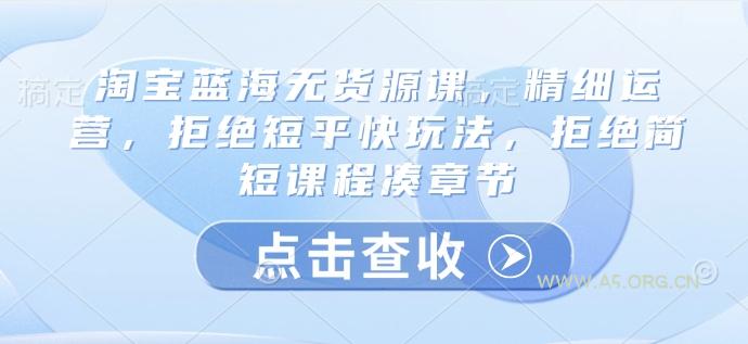淘宝蓝海无货源课，精细运营，拒绝短平快玩法，拒绝简短课程凑章节-A5资源网