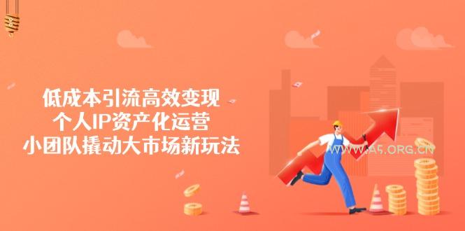低成本引流高效变现，个人IP资产化运营，小团队撬动大市场新玩法-A5资源网