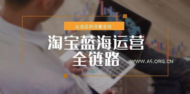 淘宝蓝海运营全链路，从选品到流量变现，小类目突围完整方案-A5资源网