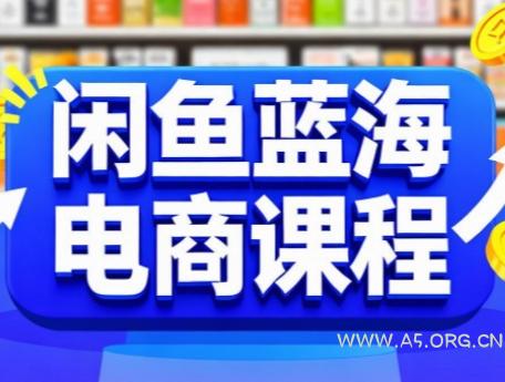 闲鱼蓝海电商课程-A5资源网