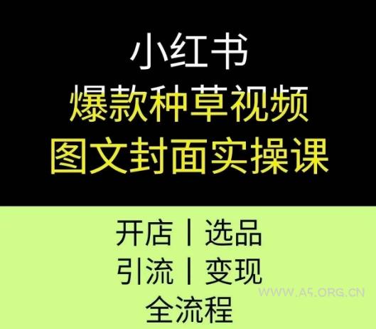 小红书爆款种草视频图文封面实操课，开店、选品、引流、变现全流程-A5资源网