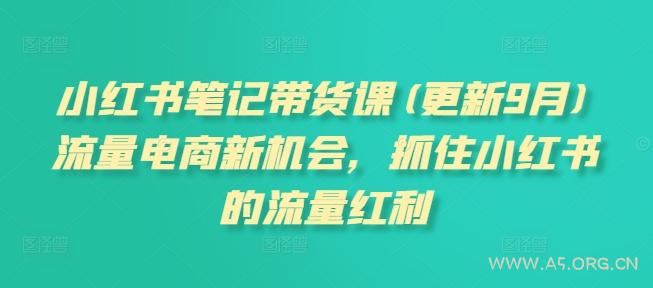 小红书笔记带货课(更新25年4月)流量电商新机会，抓住小红书的流量红利-A5资源网