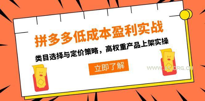 拼多多低成本盈利实战，类目选择与定价策略，高权重产品上架实操-A5资源网