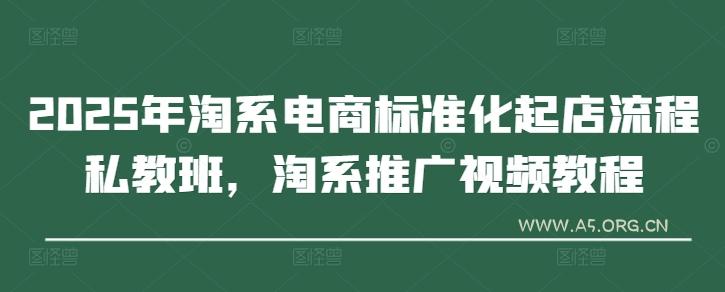 2025年淘系电商标准化起店流程私教班，淘系推广视频教程-A5资源网