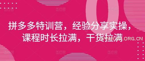 拼多多特训营，经验分享实操，课程时长拉满，干货拉满(更新25年4月)-A5资源网