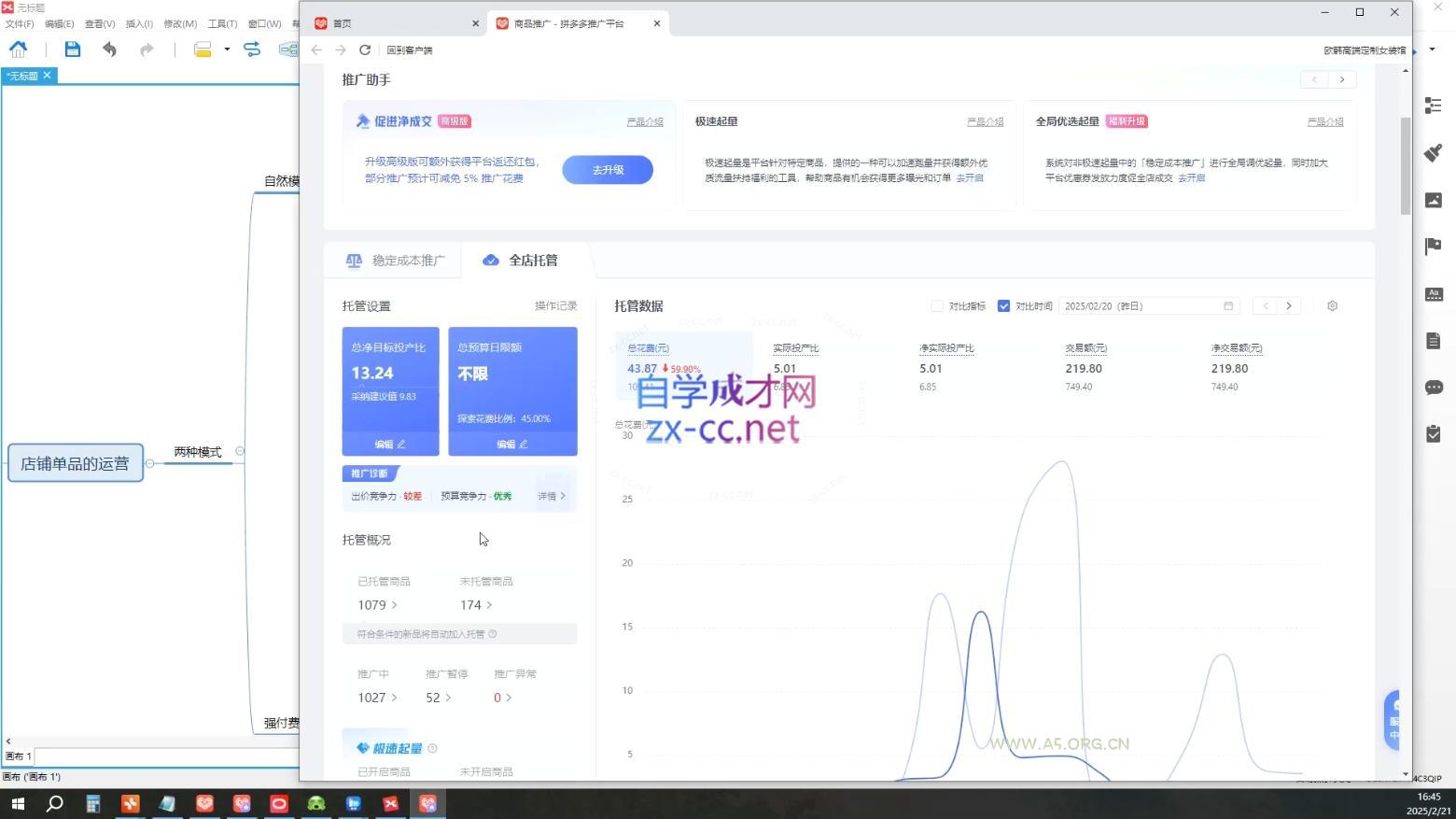 齐论拼多多vip课程 - A5资源网