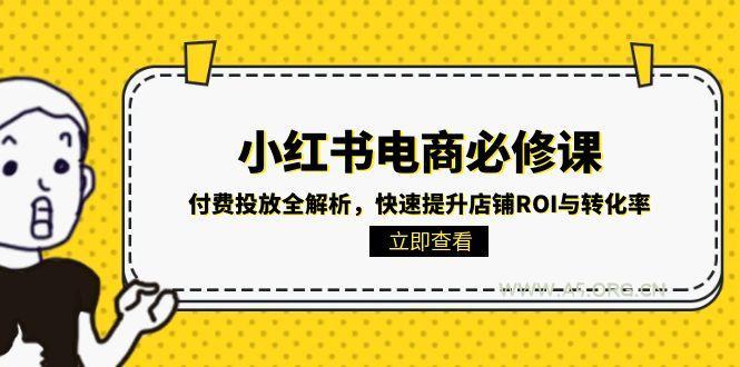 小红书电商必修课：付费投放全解析，快速提升店铺ROI与转化率-A5资源网