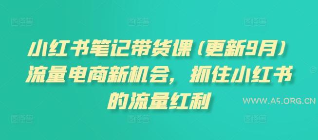 小红书笔记带货课(更新25年3月)流量电商新机会，抓住小红书的流量红利-A5资源网