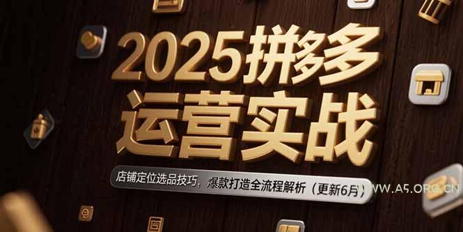 2025拼多多运营实战：店铺定位选品技巧，爆款打造全流程解析(更新6月-A5资源网