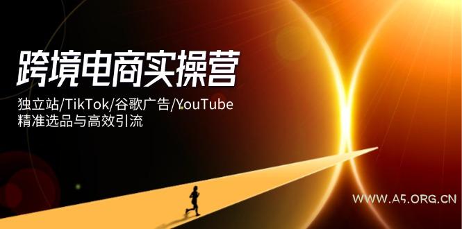 跨境电商实操营：独立站/TikTok/谷歌广告/YouTube，精准选品与高效引流-A5资源网