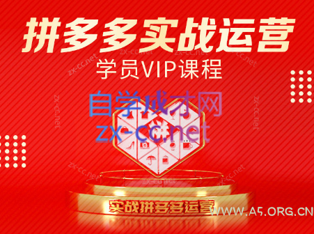 推易电商·拼多多实战运营课(更新2025月)-A5资源网