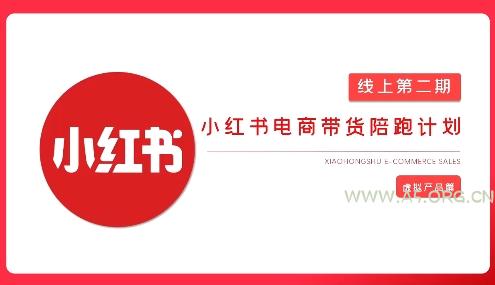 2025小红书虚拟电商实战课-A5资源网