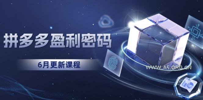 拼多多盈利密码：从烧钱推广到印钞模型，底层逻辑重构指南(6月更新-A5资源网