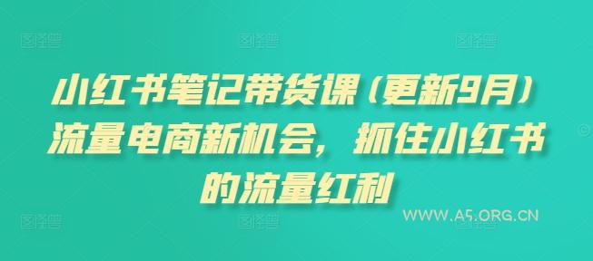 小红书笔记带货课(更新25年5月)流量电商新机会，抓住小红书的流量红利-A5资源网