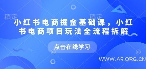 小红书电商掘金课，小红书电商项目玩法全流程拆解(更新5月)-A5资源网