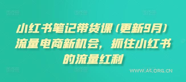 小红书笔记带货课(更新25年6月)流量电商新机会，抓住小红书的流量红利-A5资源网
