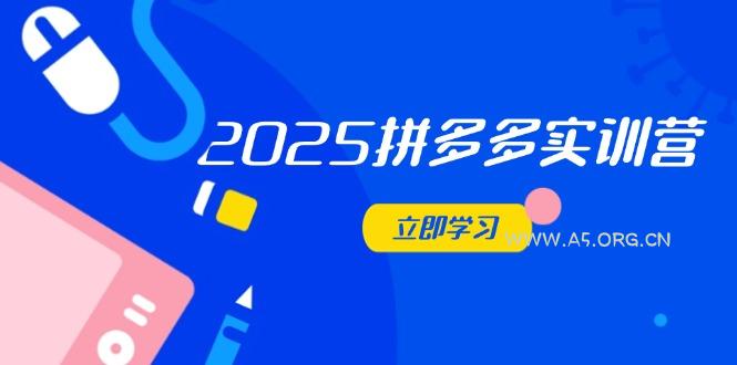 2025拼多多实训营：深度剖析运营关键，助力电商人快速提升-A5资源网