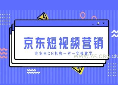 京东短视频营销项目，专业MCN机构一对一实操教学-A5资源网