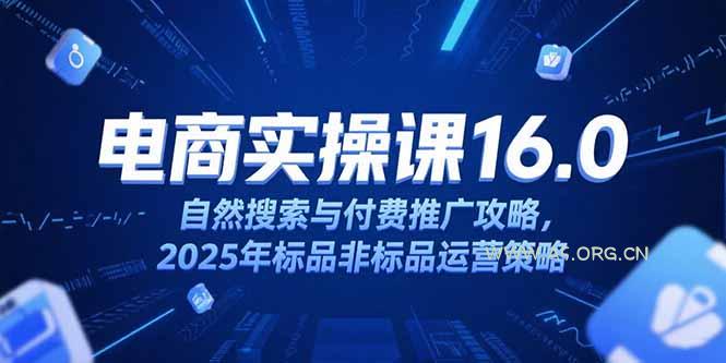 淘宝电商运营课16.0，自然搜索与付费推广攻略，2025年标品非标品运营策略-A5资源网