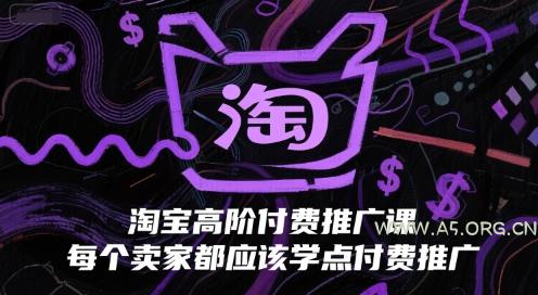 淘宝高阶付费推广课，每个卖家都应该学点付费推广-A5资源网