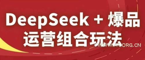 DeepSeek+爆品运营组合玩法，2025淘系精品课-A5资源网