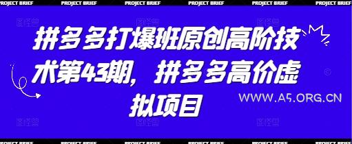 拼多多打爆班原创高阶技术第43期，拼多多高价虚拟项目-A5资源网