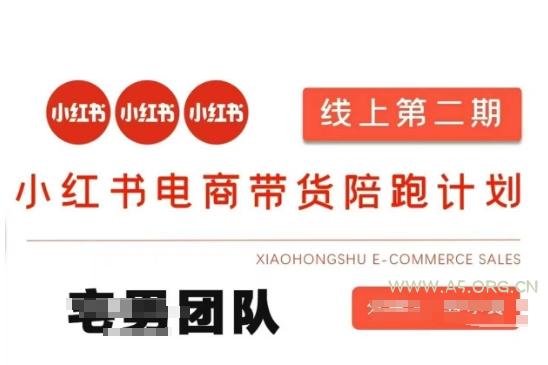 小红书电商带货课2期，月利润20个的小红书电商的有货源，无货源，虚拟产品，付费投流等整套玩法-A5资源网