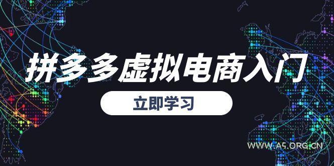 拼多多虚拟电商入门，精准选品方法论，无货源模式起盘技巧-A5资源网