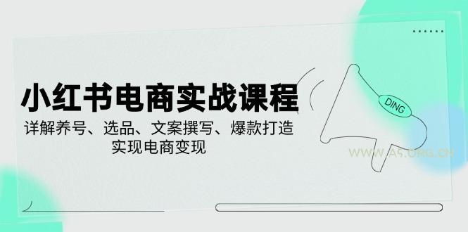 小红书电商实战课程，详解养号、选品、文案撰写、爆款打造，实现电商变现-A5资源网