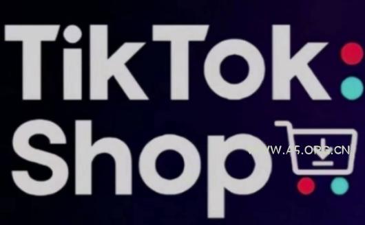 TikTokShop跨境电商0-1实战，手把手教你低成本启动海外市场(更新)-A5资源网
