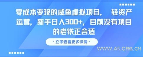 零成本变现的咸鱼虚拟项目， 轻资产运营，新手日入3张+，目前没有项目的老铁正合适-A5资源网