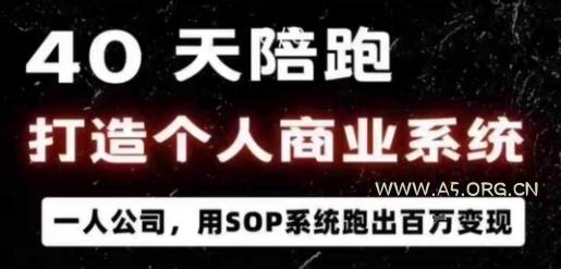 40天陪跑打造个人商业系统，一人公司，用SOP系统跑出百W变现-A5资源网