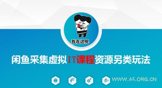闲鱼采集虚拟IT课程资源另类玩法，干货满满-A5资源网