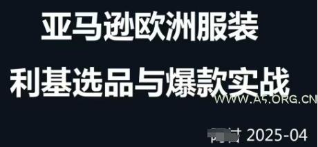 跨境电商选品案例24-25年，聚焦跨境电商选品策略与运营优化，助力卖家挖掘蓝海市场-A5资源网