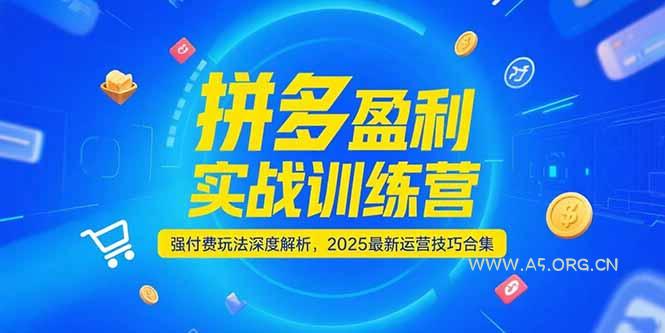 拼多多盈利实战训练营，强付费玩法深度解析，2025运营技巧合集-更新6月-A5资源网