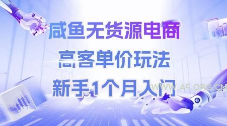 咸鱼无货源电商，高客单价玩法，新手1个月入门-A5资源网