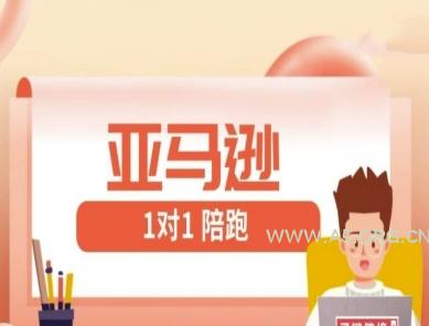 亚马逊1对1陪跑课(FBA/FBM精铺)跨境亚马逊教程-A5资源网