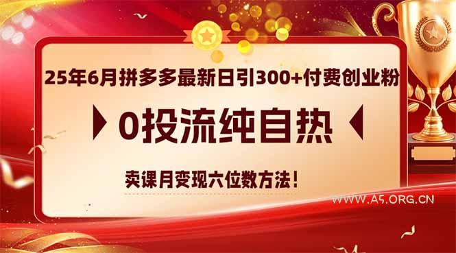 25年6月拼多多最新日引300+付费创业粉，0投流纯自热 卖课月变现六位数方法-A5资源网