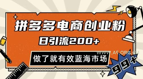 拼多多引流电商创业粉，日引200+，可矩阵放大，做了就有效【揭秘】-A5资源网