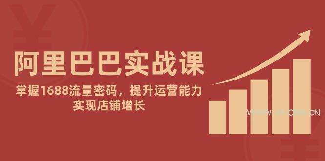 阿里巴巴实战课：掌握1688流量密码，提升运营能力，实现店铺增长-A5资源网