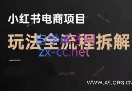 菲菲老师·小红书电商玩法(更新9月)-A5资源网
