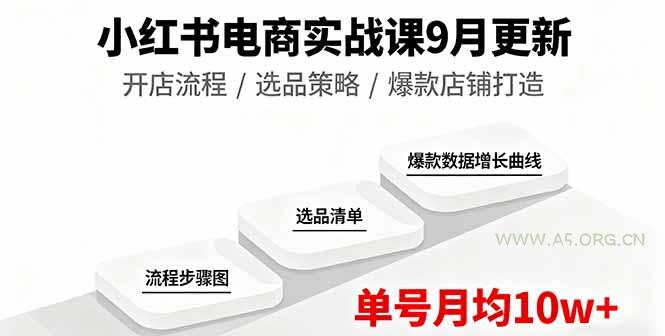 小红书电商实战课9月更新，开店流程/选品策略/爆款店铺打造，单号月均10w+-A5资源网