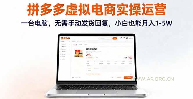 拼多多虚拟电商实操运营，一台电脑，无需手动发货回复，小白也能月入1-5W-A5资源网