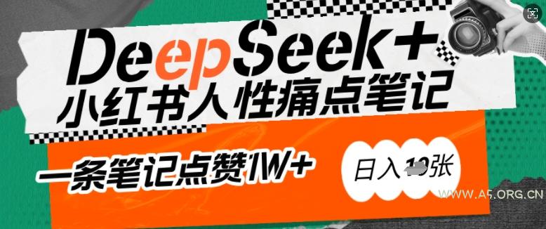 AI赋能小红书爆款秘籍：用DeepSeek轻松抓人性痛点，小白也能写出点赞破万的吸金笔记，日入多张-A5资源网
