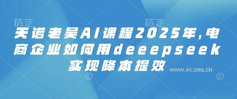 天诺老吴AI课程2025年，电商企业如何用deeepseek实现降本提效-A5资源网