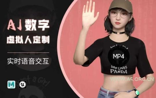 Ai数字人虚拟(智能体)实时语音交互特训营，​自行定制超写实角色AI数字人交互技术-A5资源网