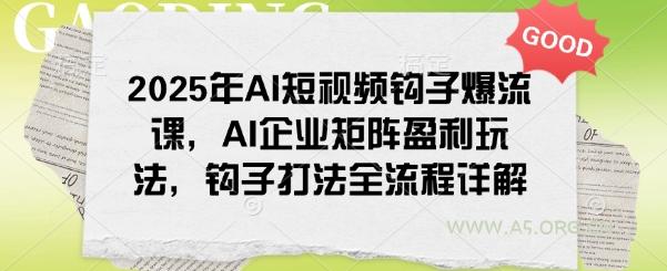 2025年AI短视频钩子爆流课，AI企业矩阵盈利玩法，钩子打法全流程详解-A5资源网