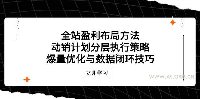 全站盈利布局方法：动销计划分层执行策略，爆量优化与数据闭环技巧-A5资源网