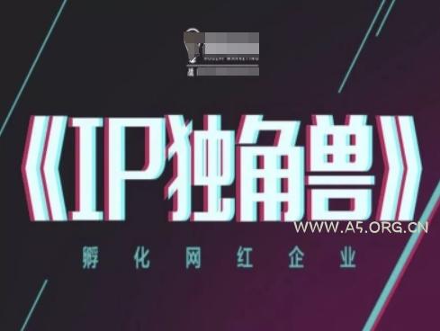IP独角兽，孵化网红企业，ip教程-A5资源网