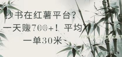 抄书在小红薯平台？平均一单30米，一天收益几张！-A5资源网